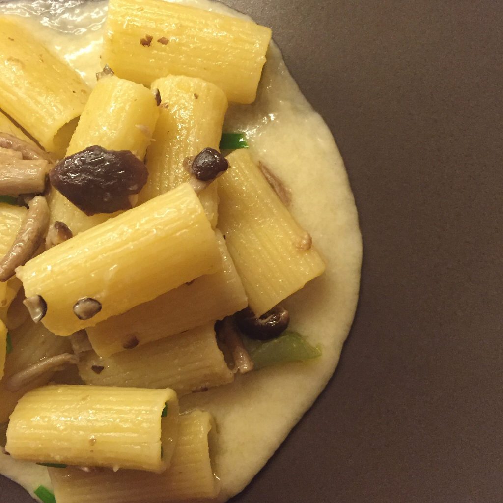 rigatoni_pioppini_parmigiano